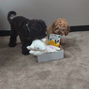 Puppy Starter Bundle Video