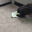 Little Buddy Blanky Elephant - Video