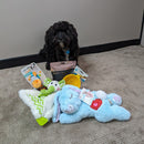 Puppy Platinum Bundle - Zach's Pet Shop