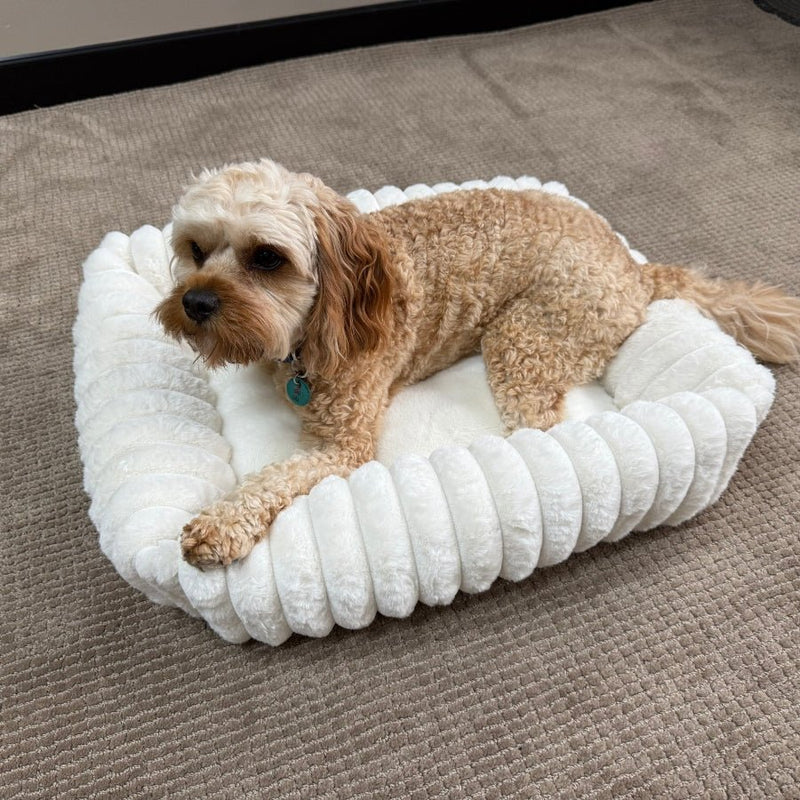 Somerzby Buster Bed - Medium - Zach's Pet Shop