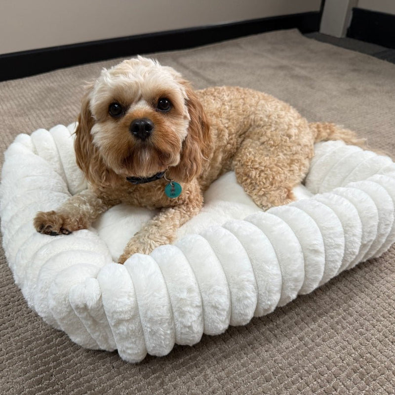 Somerzby Buster Bed - Medium - Zach's Pet Shop