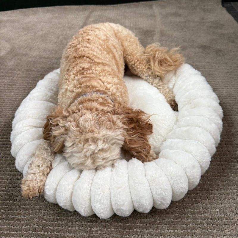 Somerzby Cloe Bed - Medium - Zach's Pet Shop