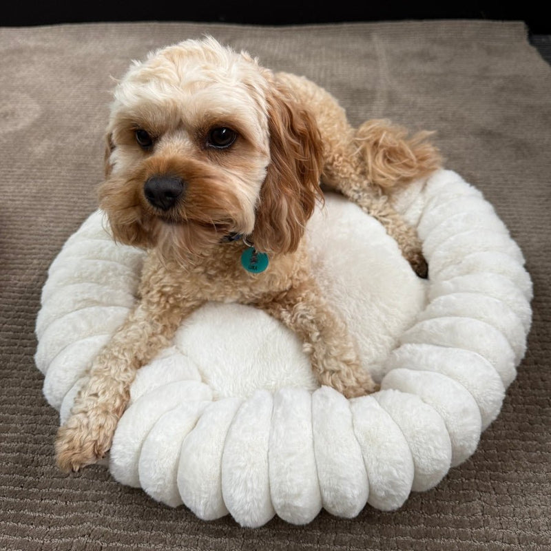 Somerzby Cloe Bed - Medium - Zach's Pet Shop