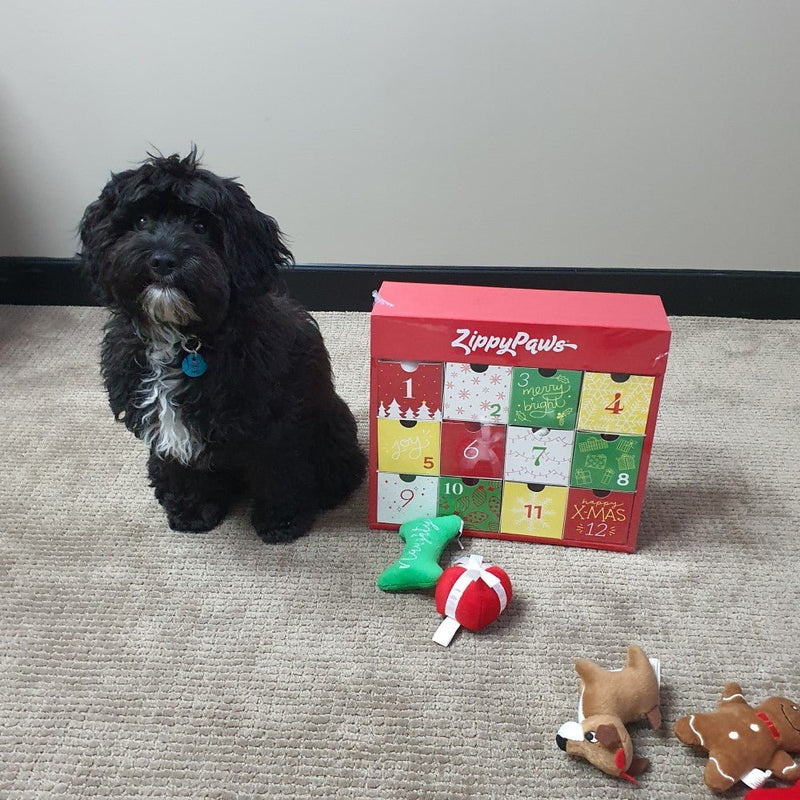 Zippy Paws Christmas Holiday Advent Calendar - Zach's Pet Shop