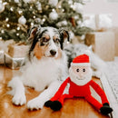 Zippy Paws Christmas Holiday Crinkle - Santa - Zach's Pet Shop