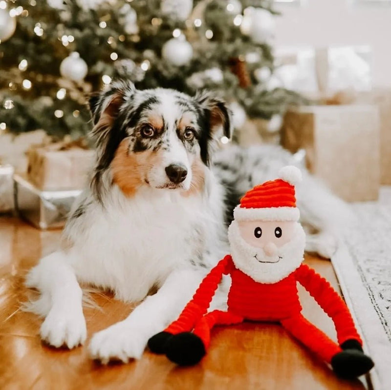 Zippy Paws Christmas Holiday Crinkle - Santa - Zach's Pet Shop