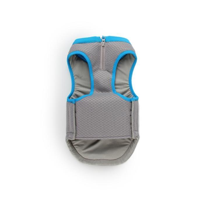 All For Paws Chill Out Cooling Vest