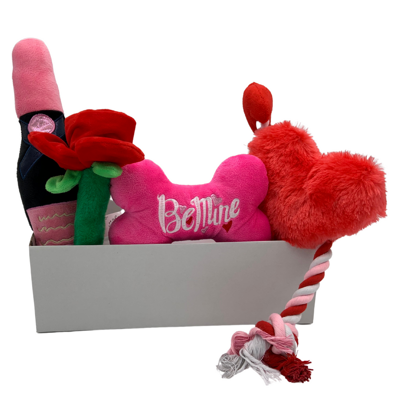 All For Paws Valentines Lover Toy Pack