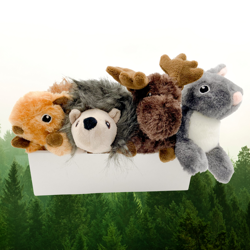 All For Paws Woodland Classic Animals Toy Pack