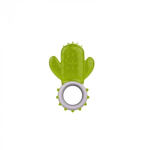 All For Paws Pups Cactus Chill Teething Toy