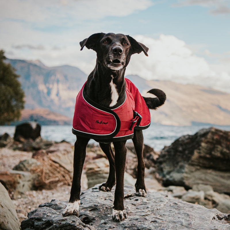 Huskimo Summit Pro Dog Coat